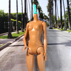 Diversity Fashionista: Standard Medium Caucasian - (Body Only) [FREE]