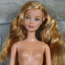 Closeup nude Barbie
