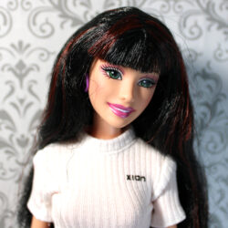 Courtney: Barbie Diaries /2006 H7591 - (Redressed)