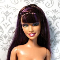 Teresa: Fashionistas Swappin' Styles "Sassy" /2010 T7414 - (Nude, Rebodied Belly-Button Articulated)