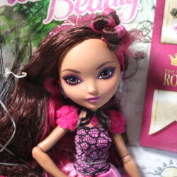 Ever After High: G1 Briar Beauty /2013 Asst BBD51: BBD53 - (NRFB)