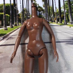 Naturalista/Latinista: Dark AA - (Body Only) [FREE]