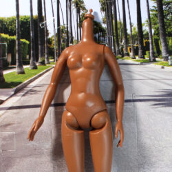 Naturalista/Latinista: Medium AA - (Body Only) [FREE]