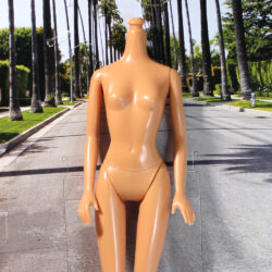 Chic Boutique: Medium Caucasian - (Body Only) [FREE]